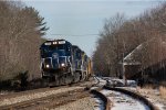 POAY 7561 at Wells Beach